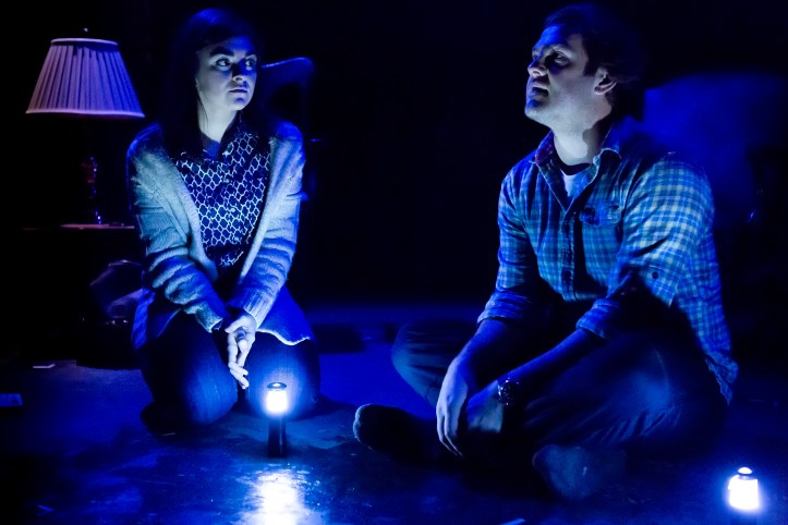 ShelbyCompany_Photo1_Fringe2014